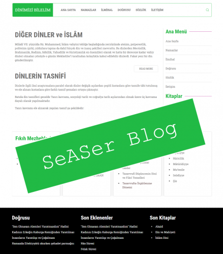 seaser blog theme ss