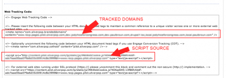 Silverpop Web Tracking Code Example