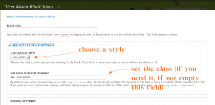 User's avatar block settings