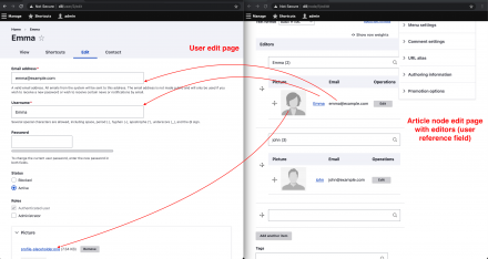 Entity reference field with additional attribute on field widget