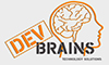 DevBrains DevBrains