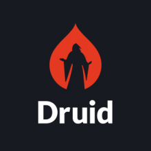 Druid Logo Druid Logo