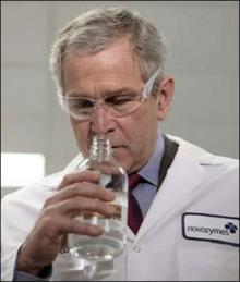 280_sniff.jpg