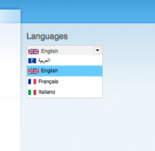 Language switcher dropdown with Language icons module
