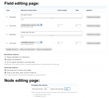 Advanced Text Screenshot (Field and Node editing view)