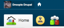 A sample home button.
