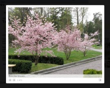 Colorbox example with the default style