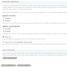 Settings under Performance