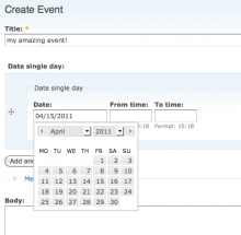 Date single day screenshot
