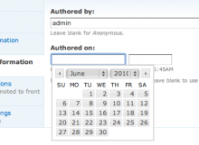 Date Popup Authored in action