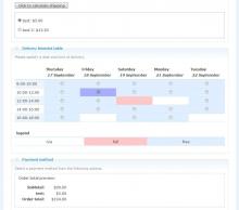 Delivery timeslot on checkout pane