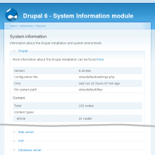 System Information module