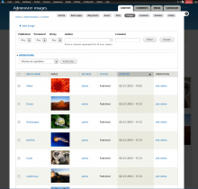 Admin view screenshot