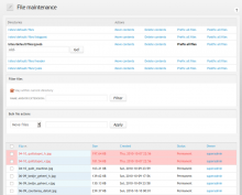 File maintenance main interface