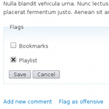 Flag Form