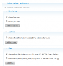 gallery-uploads-import-helper.png