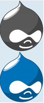 gray-color.png