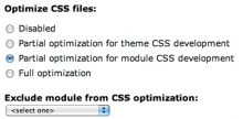 Screenshot of IE CSS Optimizer form
