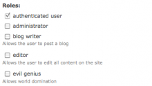 Role help screenshot