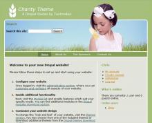 Charity Theme by Tentmaker