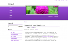 Screenshot for the Spring Bloom Drupal theme.