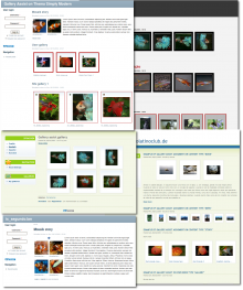 Gallery Assist using Gallery Assist ImageCache