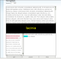 RSVP of Lorem Ipsum