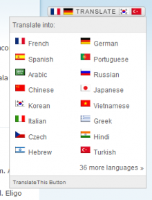 Translate This button screenshot