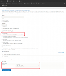 Enable Insert Image filter for text format
