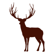 Royal Stag