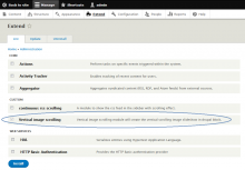 Module name to enable.