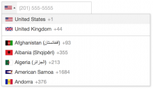 International Telephone Input