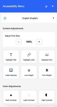 Accessibility Widget