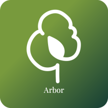 Arbor logo