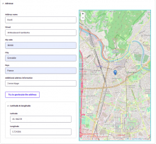 Preview of form in back-office 