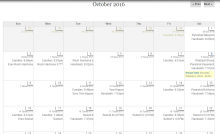 Example of monthly calendar