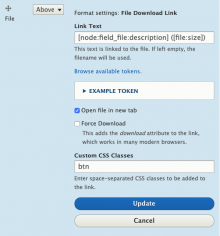 Config form for a file field.