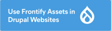 Frontify Assets