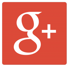 The logo for Google+ login