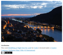 Heidelberg by Night from the Castle - by Godoi