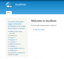 Displaying the provided example block.