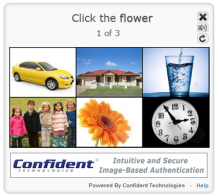 Image-Based CAPTCHA Alternative