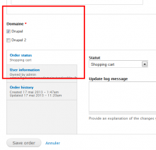 Entities edit form domain field widget.