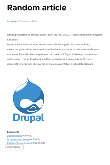 Display of Article with a file field named "Documents"