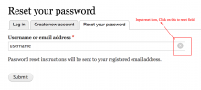 Input reset on reset password form