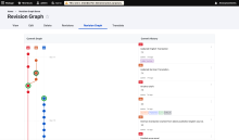 Revision Graph Overview