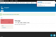 Drupal 9 test page with open inline documentation panel.