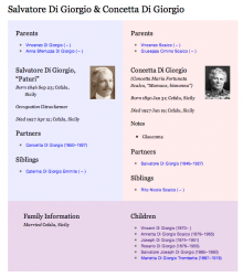 Screenshot of GEDparse-generated display for Henry and Christine Grant