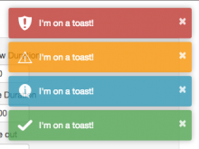 Toastr notifcation image