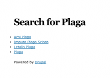 Search results with experimental example text "Plaga" from devel generated content